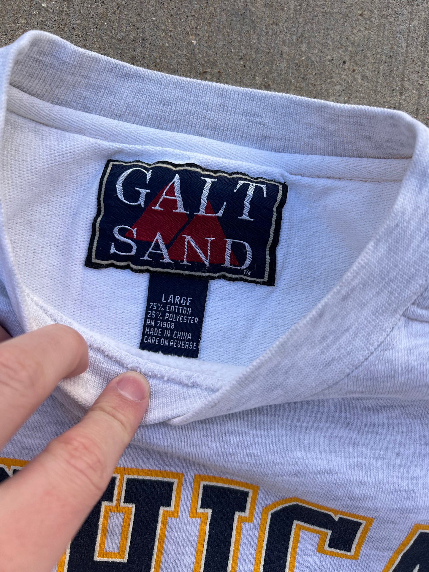 Vintage Michigan Crewneck - L