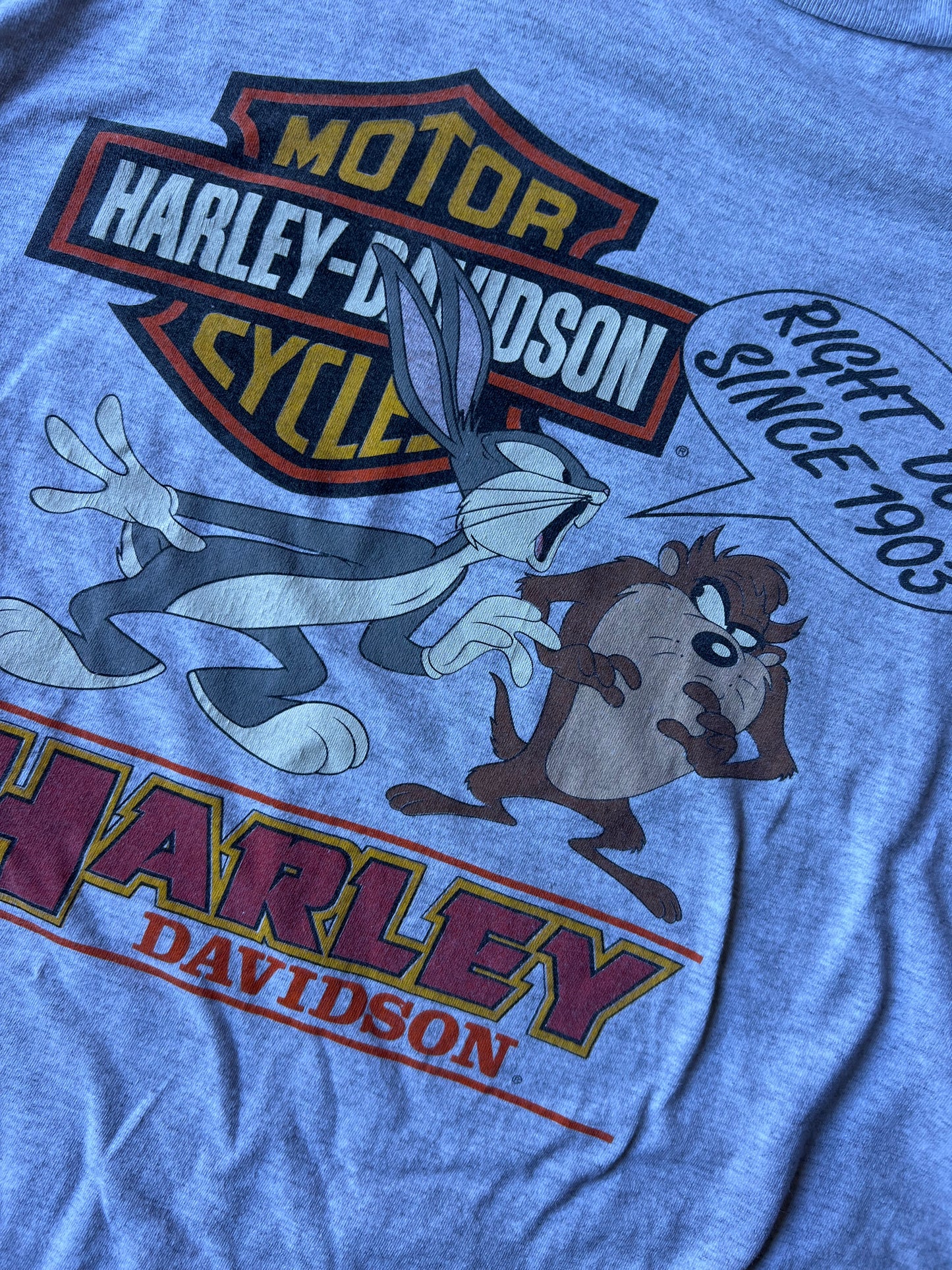 Vintage Looney Tunes Harley Davidson Tee - XL